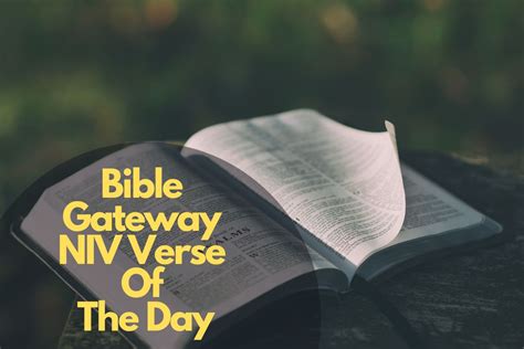 bible verses gateway|bible gateway today's verse.